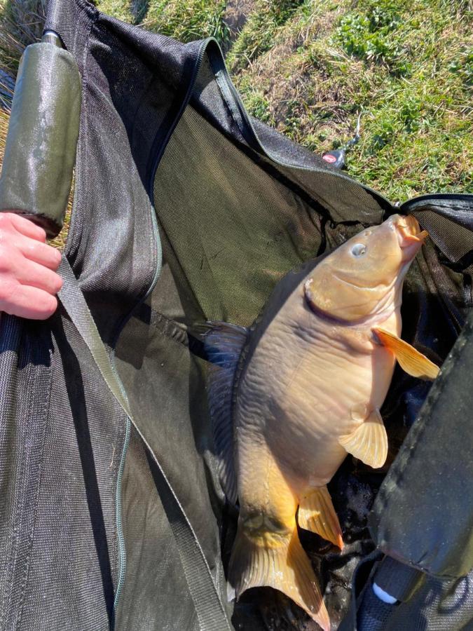 Fonclaire Holidays Carpers Rest Blond エクステリア 写真